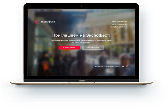 Экспофест